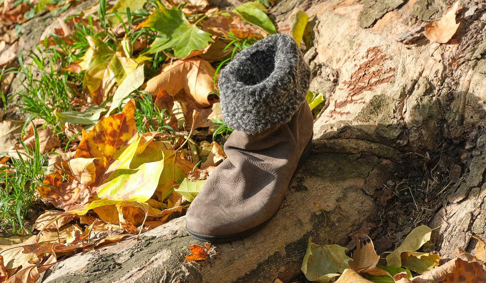 Unsere Highlights im Herbst - Winter 2020 2021