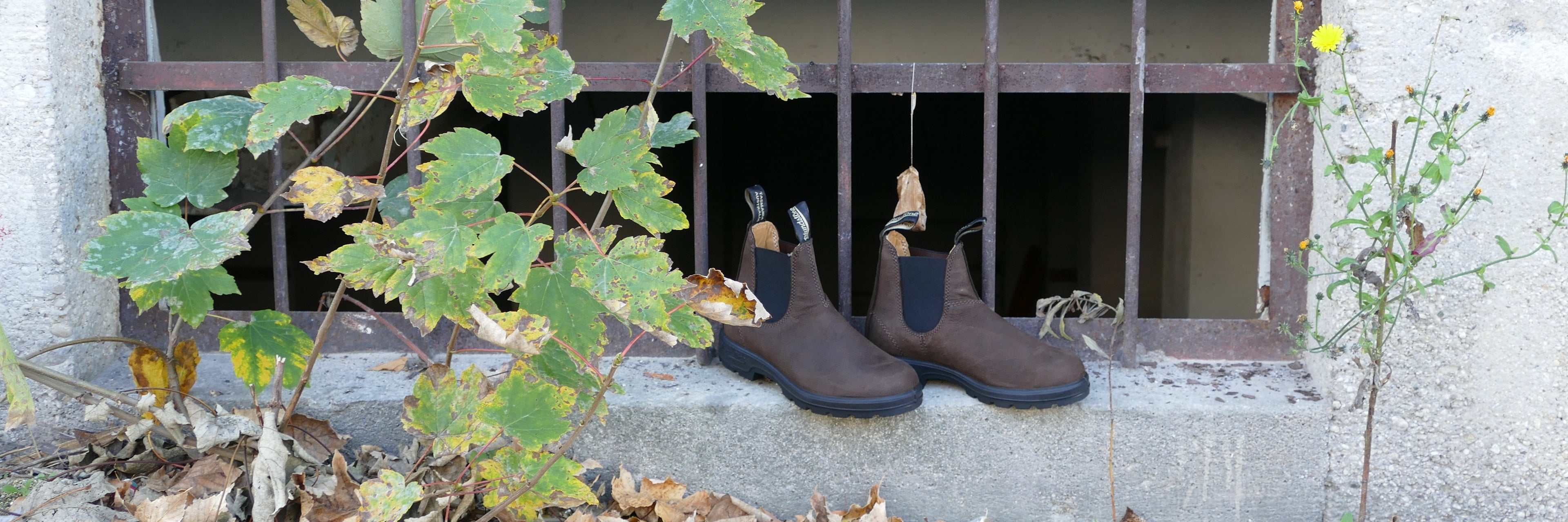 Blundstone Unisex