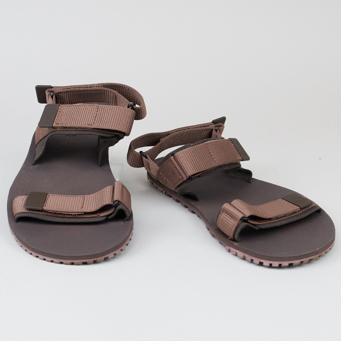 Xero Shies D-TRAIL Cocoa Brown - Java Brown