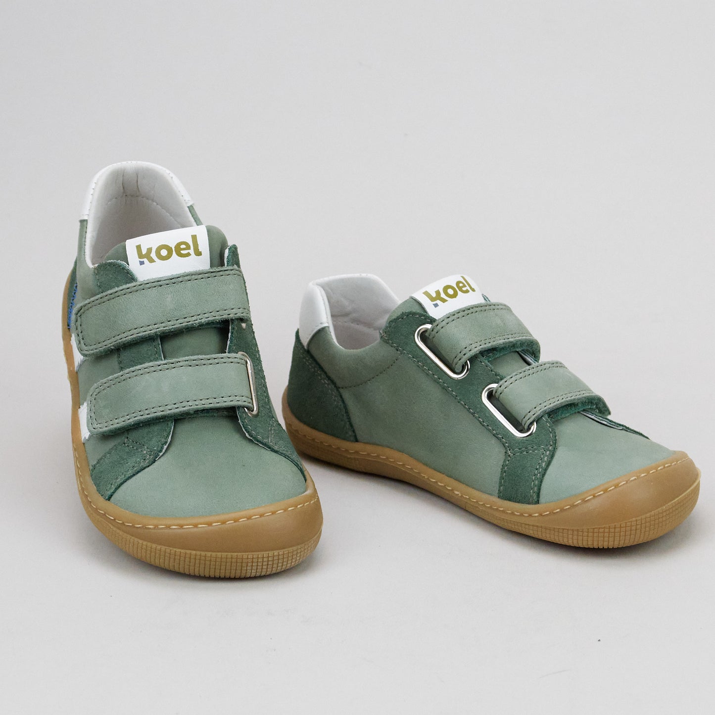 Koel Denis Nappa - Olive