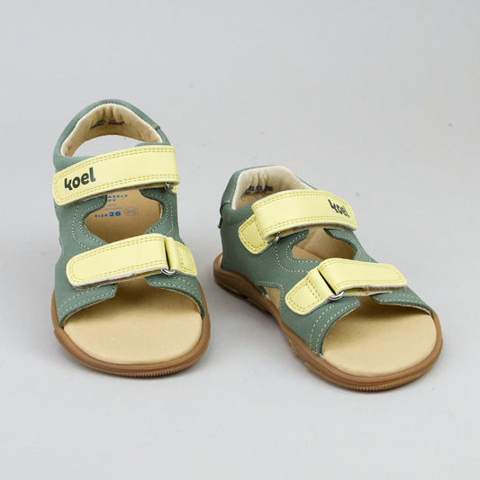 Koel Oua
360 - Olive