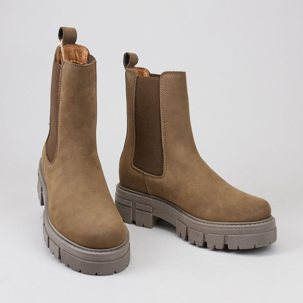 Apple of Eden AW22-CONNY 60 CARIBOU